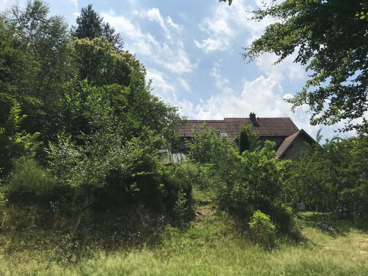 Gite Du Rocher Lapoutroie Kültér fotó